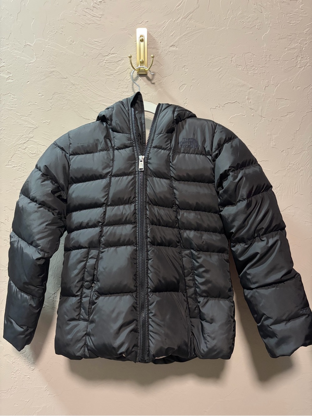 The North Face Girl Black Hooded Puffer Jacket